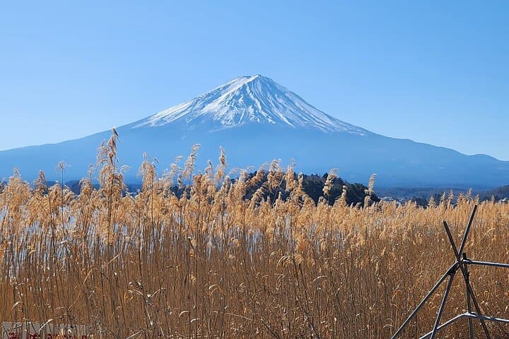 Private Tour of Mount Fuji with English speaking driver — photo 20