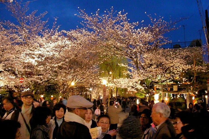 Kyoto Gion Night Walk & Geisha District Guided Tour — photo 6