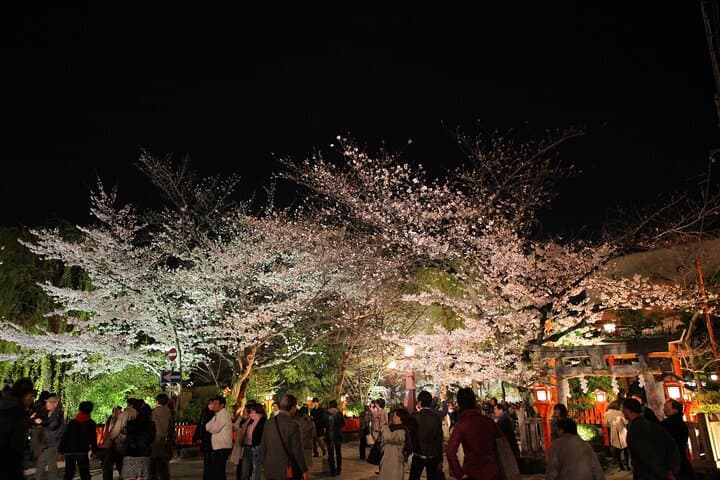 Kyoto Gion Night Walk & Geisha District Guided Tour — photo 9
