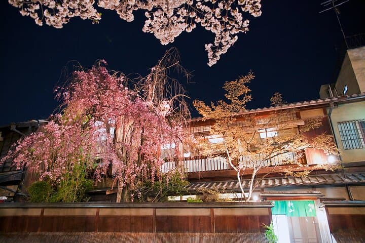 Kyoto Gion Night Walk & Geisha District Guided Tour — photo 5