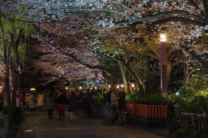 Kyoto Gion Night Walk & Geisha District Guided Tour — photo 10