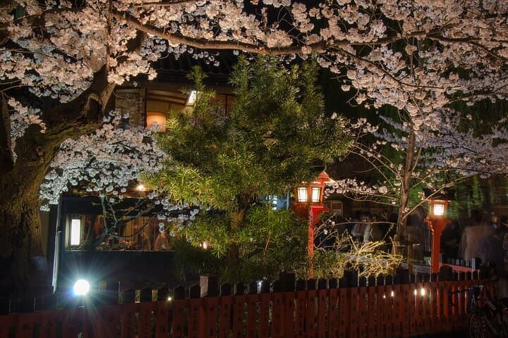 Kyoto Gion Night Walk & Geisha District Guided Tour — photo 11