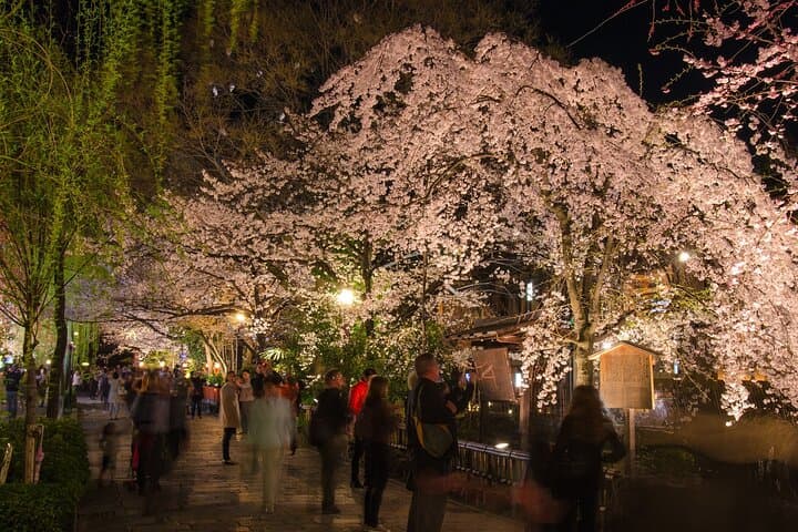 Kyoto Gion Night Walk & Geisha District Guided Tour — photo 7