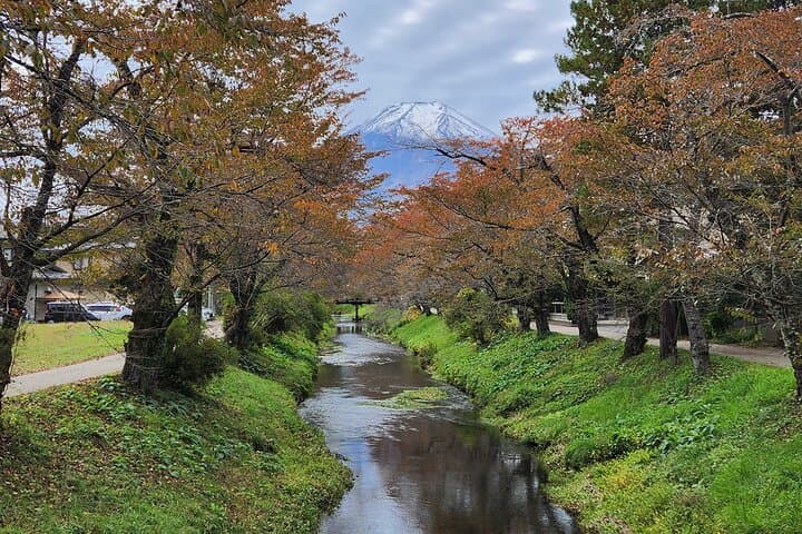 Private Tour of Mount Fuji with English speaking driver — photo 12