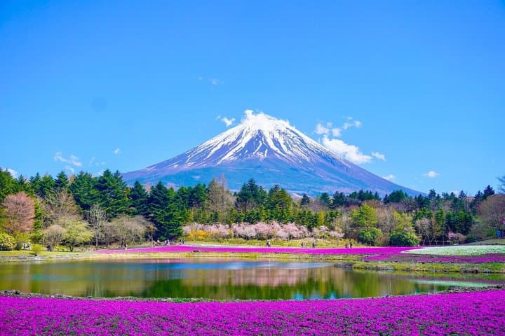 From Tokyo: Mount Fuji Private Trip with English Speaking Driver — photo 5