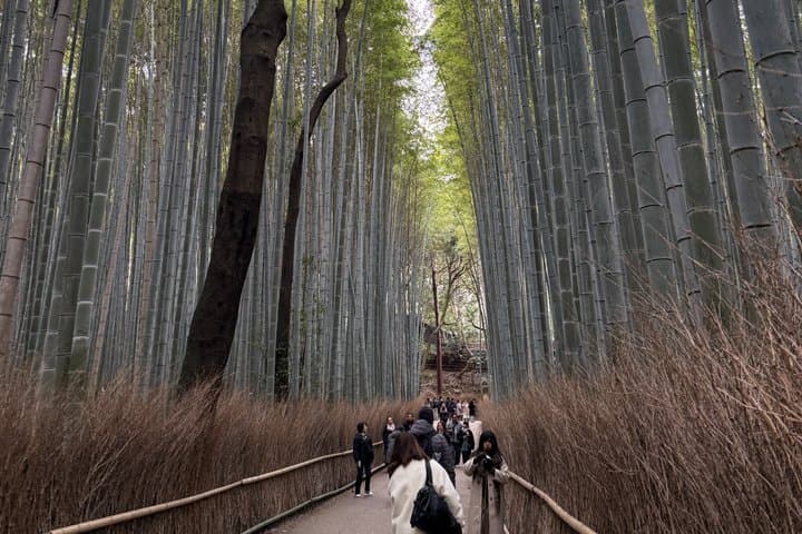 Authentic Walking Tour of Kyoto — photo 3