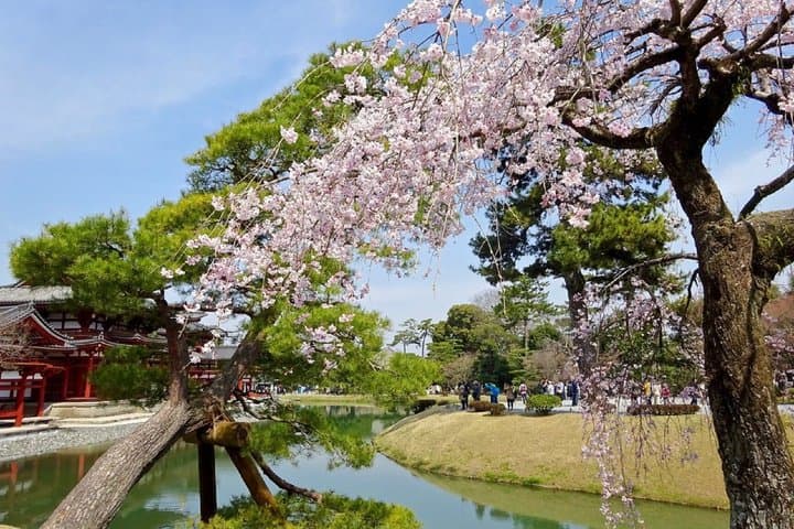 Uji Tea Ceremony and UNESCO Heritage Walking Tour — photo 3