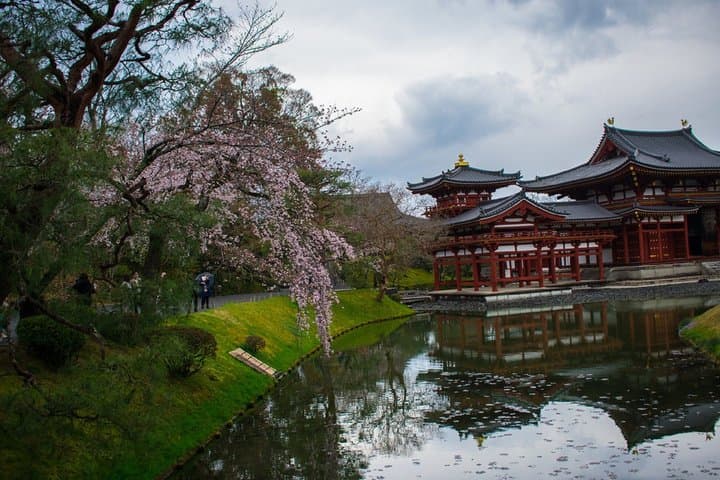 Uji Tea Ceremony and UNESCO Heritage Walking Tour — photo 6