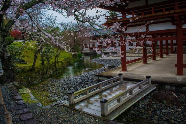 Uji Tea Ceremony and UNESCO Heritage Walking Tour — photo 7