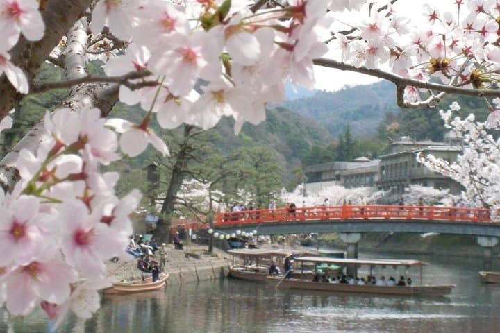 Uji Tea Ceremony and UNESCO Heritage Walking Tour — photo 5