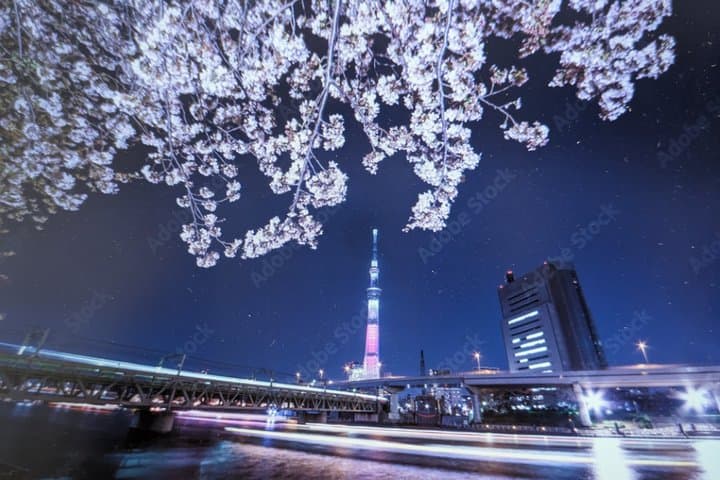 Night town and Cherry Light-up tour and Modern Samurai show — photo 10