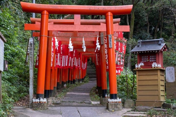 Kamakura Secret - Private Walking Tour & Photoshoot — photo 6