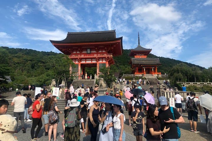Kyoto Private Cultural and Historical Tour in Spanish — photo 1