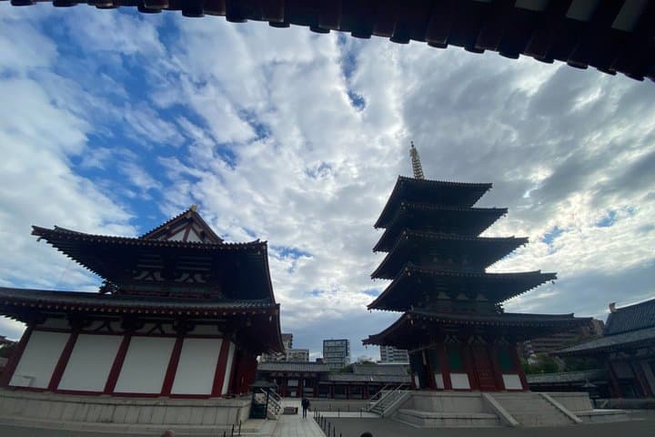 Osaka Full-Day Experience with Castle, Kushikastu and Temple — photo 18