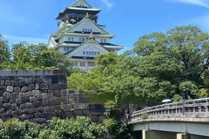 Osaka Full-Day Experience with Castle, Kushikastu and Temple — photo 7