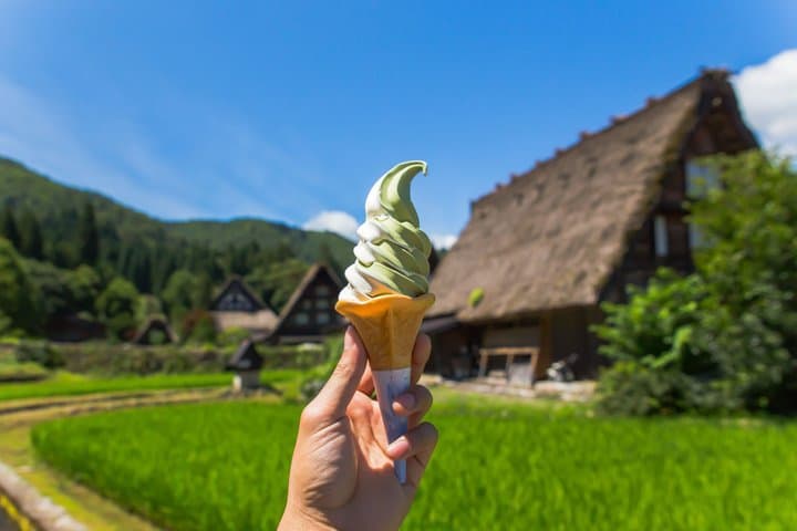 Shirakawago Takayama and Gujo Hachiman Day Tour from Nagoya — photo 7