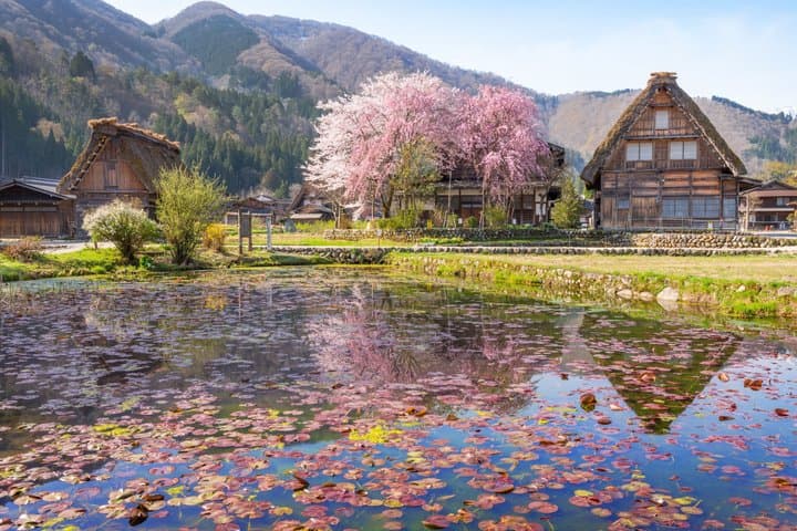 Shirakawago Takayama and Gujo Hachiman Day Tour from Nagoya — photo 9