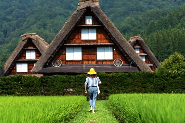 Shirakawago Takayama and Gujo Hachiman Day Tour from Nagoya — photo 2