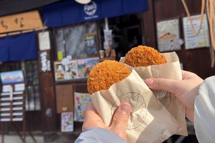 Shirakawago Takayama and Gujo Hachiman Day Tour from Nagoya — photo 11