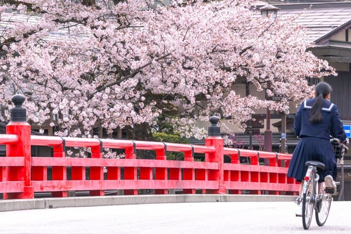Shirakawago Takayama and Gujo Hachiman Day Tour from Nagoya — photo 15