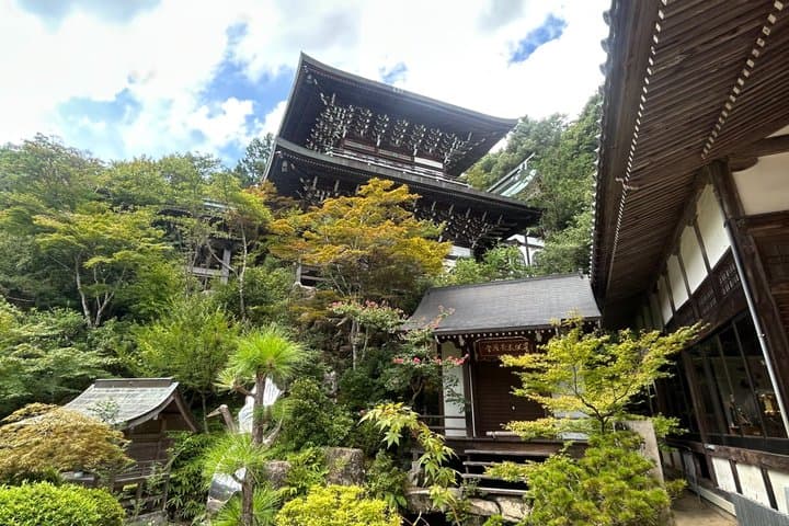 Hiroshima and Miyajima Private English Tour — photo 4