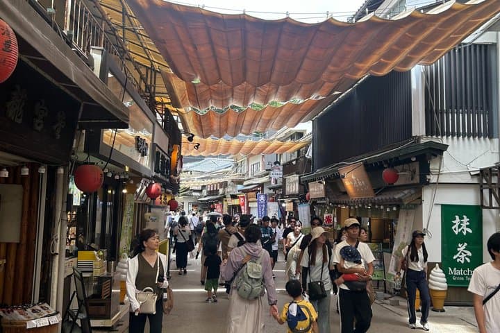 Hiroshima and Miyajima Private English Tour — photo 6
