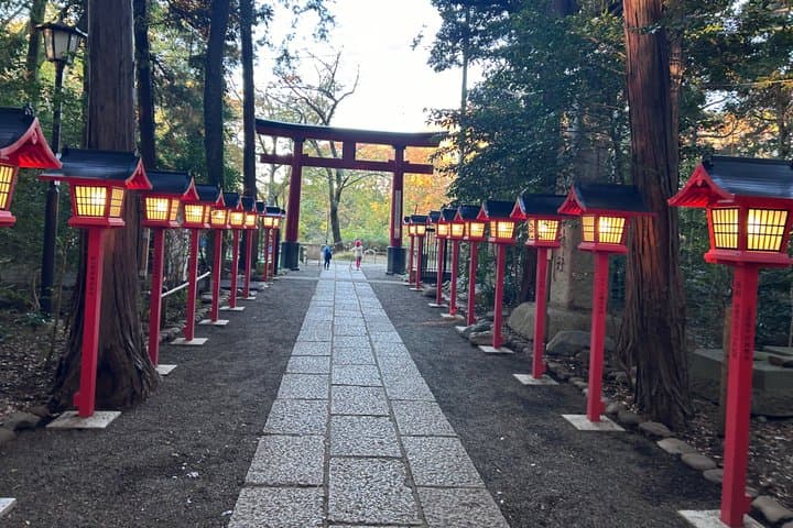 Private Tokyo Tea & Kimono: Use a National Treasure's Kettle — photo 2