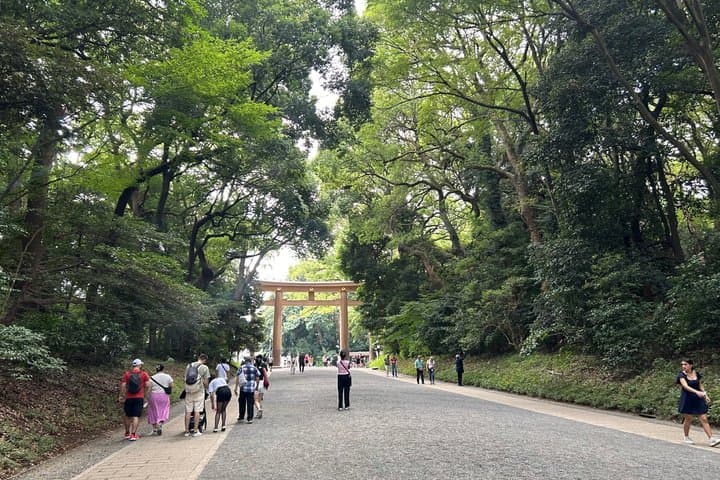 Tokyo Private City Tour with Spanish Speaking Guide