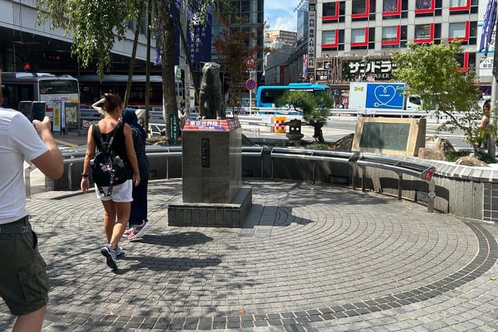 Tokyo Private City Tour with Spanish Speaking Guide — photo 2