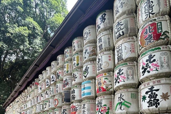 Tokyo Private City Tour with Spanish Speaking Guide — photo 3