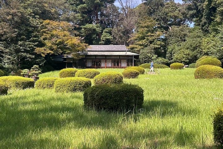 Tokyo Private City Tour with Spanish Speaking Guide — photo 4