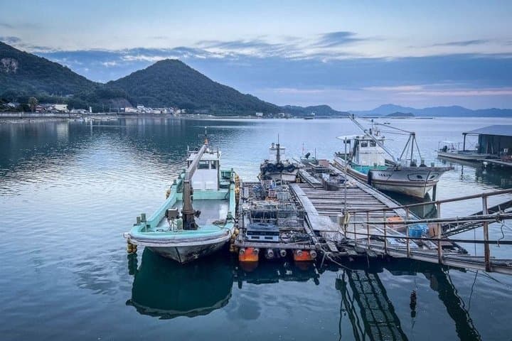 Hiroshima Oysters and Sake Tour — photo 4