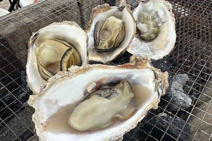 Hiroshima Oysters and Sake Tour — photo 8