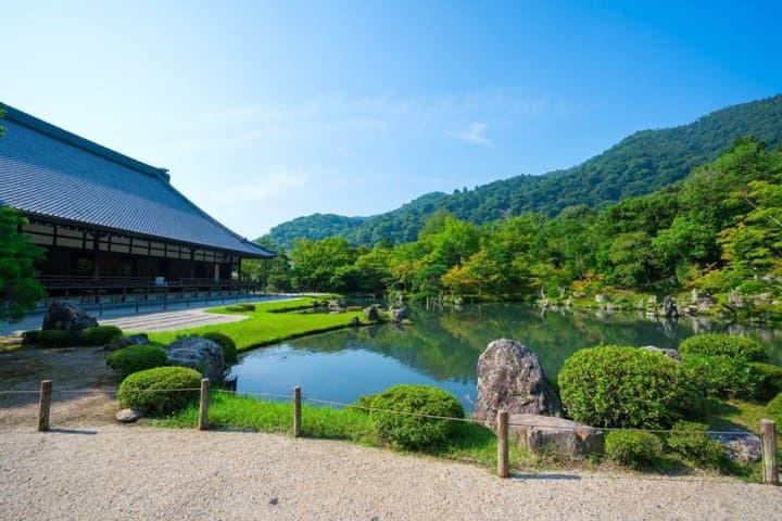 Kyoto: Arashiyama Unveiled – Bamboo, Temple, Matcha, Monkeys — photo 5