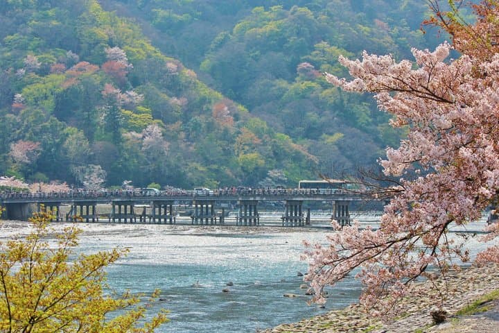 Kyoto: Arashiyama Unveiled – Bamboo, Temple, Matcha, Monkeys — photo 6