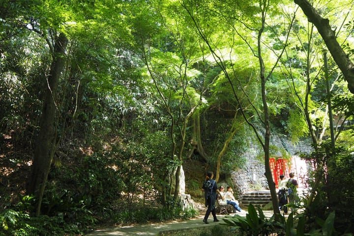 Jindaiji Traditional Temple Purification Tour with Local Soba — photo 11