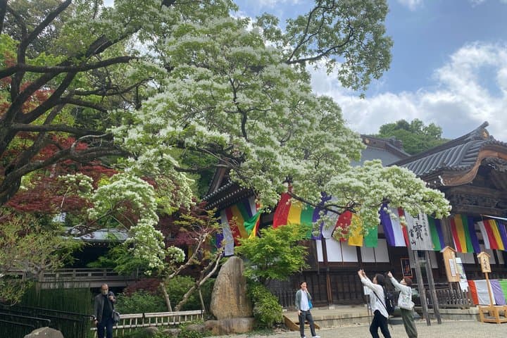 Jindaiji Traditional Temple Purification Tour with Local Soba — photo 5