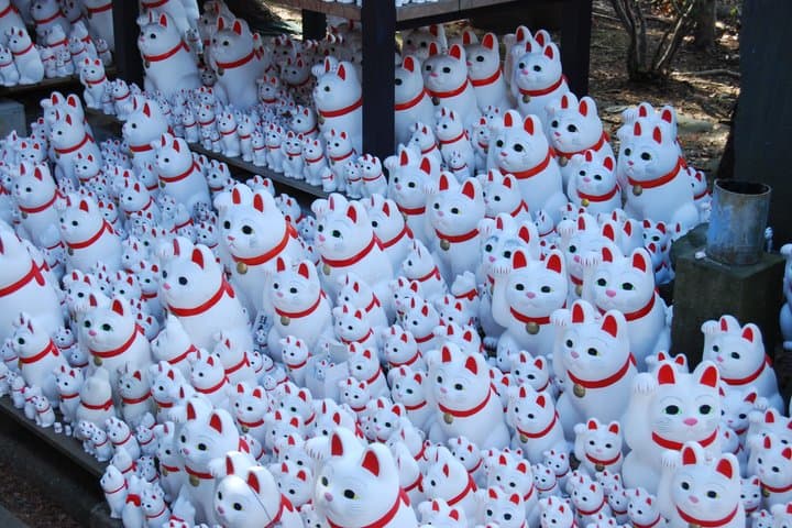 Tokyo: Gotokuji Culture Walk & Lucky Cat Temple Experience — photo 6