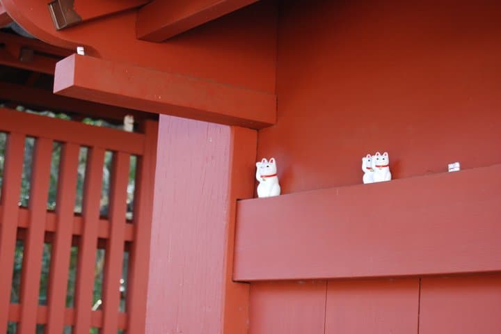Tokyo: Gotokuji Culture Walk & Lucky Cat Temple Experience — photo 2
