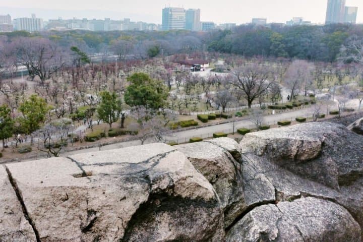 Osaka Castle: Warrior Monks, a Peasant, and a Shogun — photo 8
