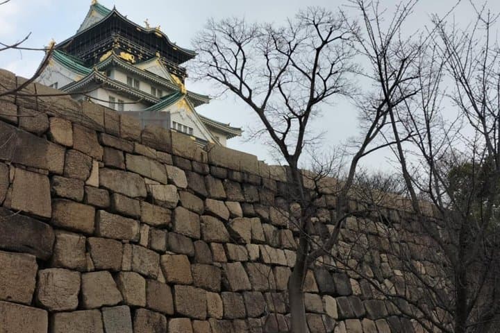 Osaka Castle: Warrior Monks, a Peasant, and a Shogun — photo 9