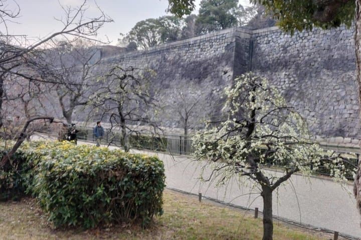 Osaka Castle: Warrior Monks, a Peasant, and a Shogun — photo 12