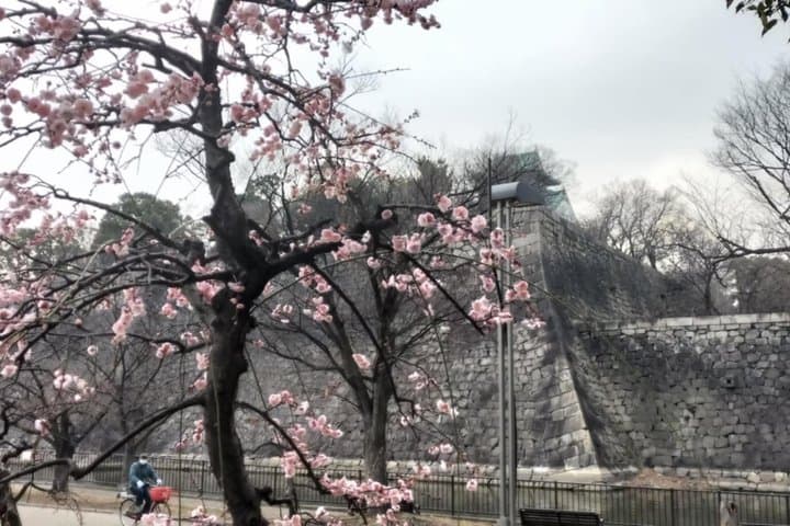 Osaka Castle: Warrior Monks, a Peasant, and a Shogun — photo 13