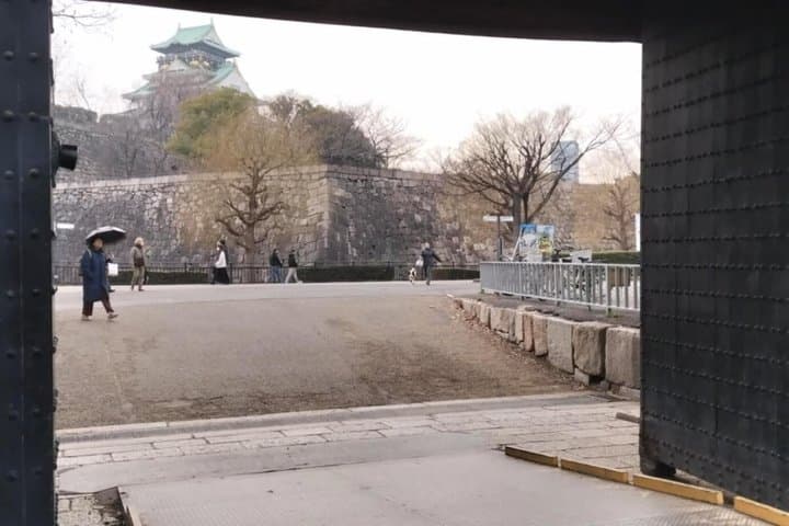 Osaka Castle: Warrior Monks, a Peasant, and a Shogun — photo 14