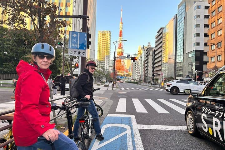 Tokyo Spring Flowering Gardens Tour with Gardener E-bike or Walk — photo 2