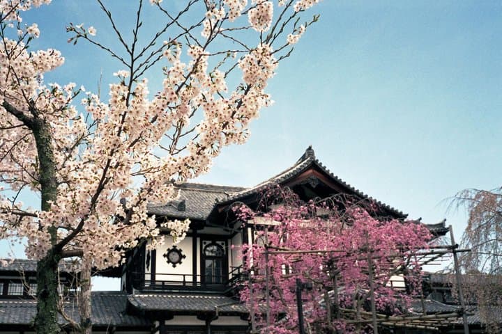Nara Todaiji Kasuga Taisha Private Full Day Tour From Kyoto — photo 2