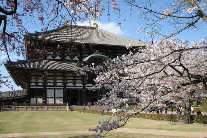 Nara Todaiji Kasuga Taisha Private Full Day Tour From Kyoto — photo 3