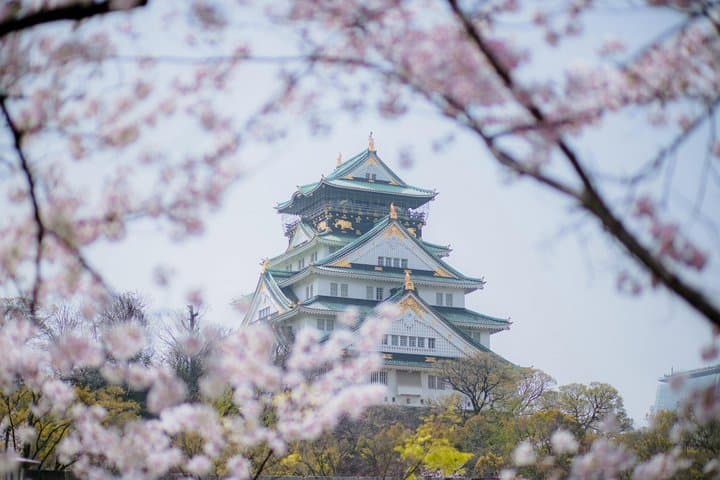 Osaka Castle & Samurai Tour: Entry Included Option — photo 8