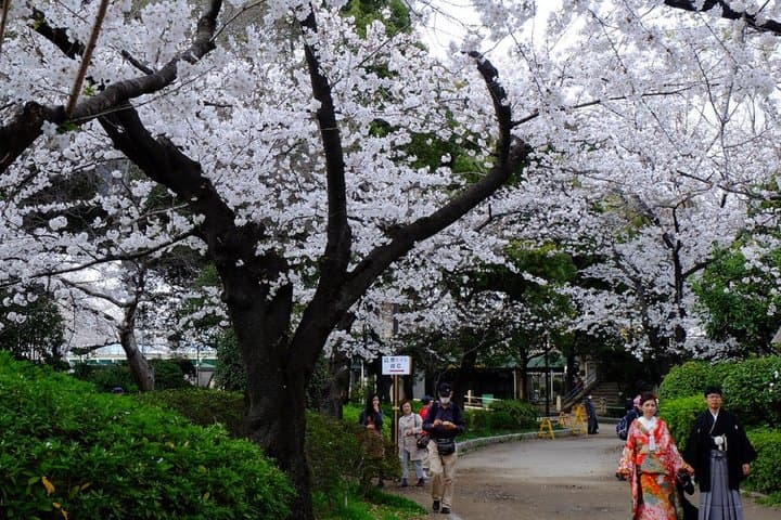 Tokyo Asakusa, Sensoji Temple and Skytree Walking Tour — photo 6