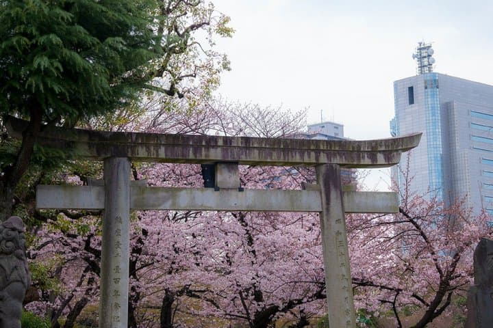 Tokyo Asakusa, Sensoji Temple and Skytree Walking Tour — photo 3
